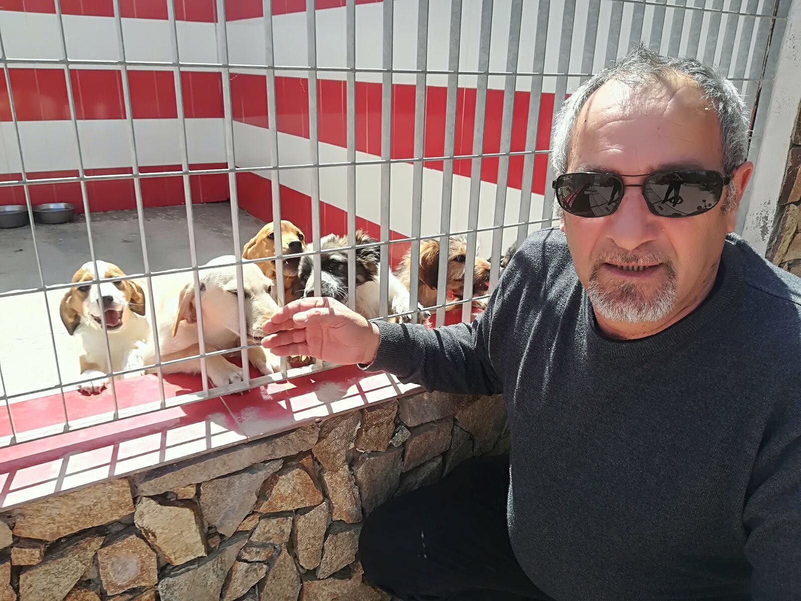 Selargius, cani “deportati” a Olbia: “Assurdo portarli a trecento chilometri di distanza”