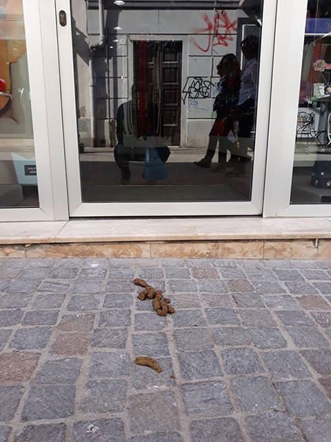 Paolo, commerciante di via Garibaldi: “Ora basta con la maleducazione dei padroni dei cani”