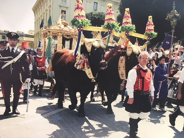 Monserrato, nomi impossibili e vita da superstar: ecco i buoi di Sant’Efisio