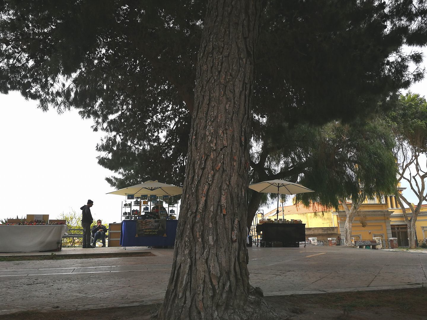 Cagliari, la città delle bancarelle: ecco come siamo indietro rispetto al mondo