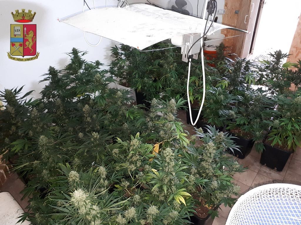 Marjiuana, una piantagione di erba proibita a Selargius: arrestati due giovani dalla Polizia