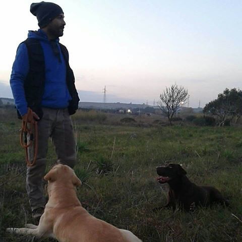 Diabete, finalmente arrivano anche in Sardegna i cani allerta per i diabetici