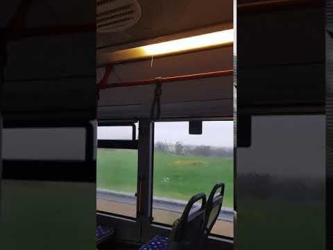 Sardegna, piove dentro il bus: “Così siamo costretti a viaggiare”