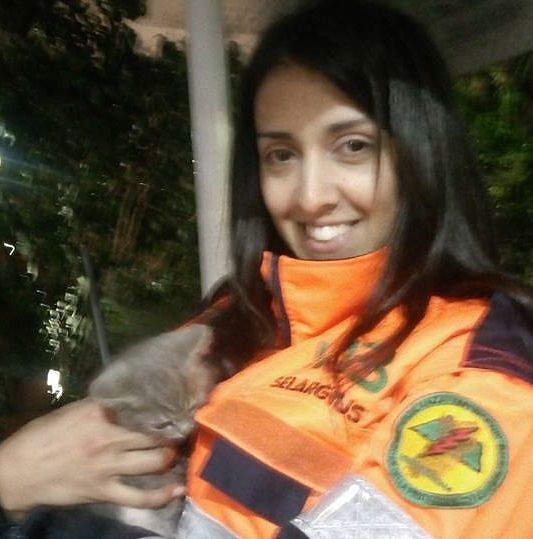 Sarroch, salvato nel giorno di Sant’Efisio: gattino ribattezzato Efisietto