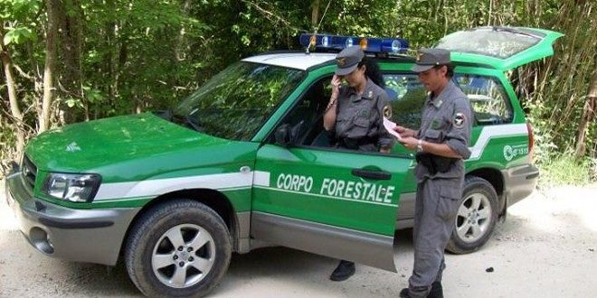 Corpo forestale, Tedde: “Giunta Pigliaru delibera la nomina dei dirigenti senza concorso”