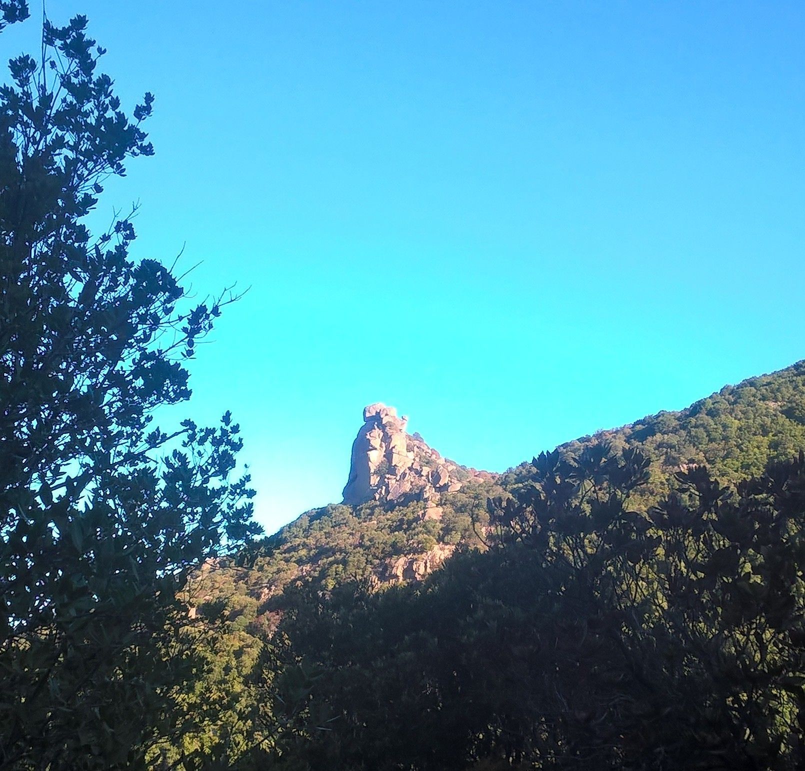 “Le nuove vie di arrampicata sportiva nella foresta dei Sette Fratelli sono autorizzate?”