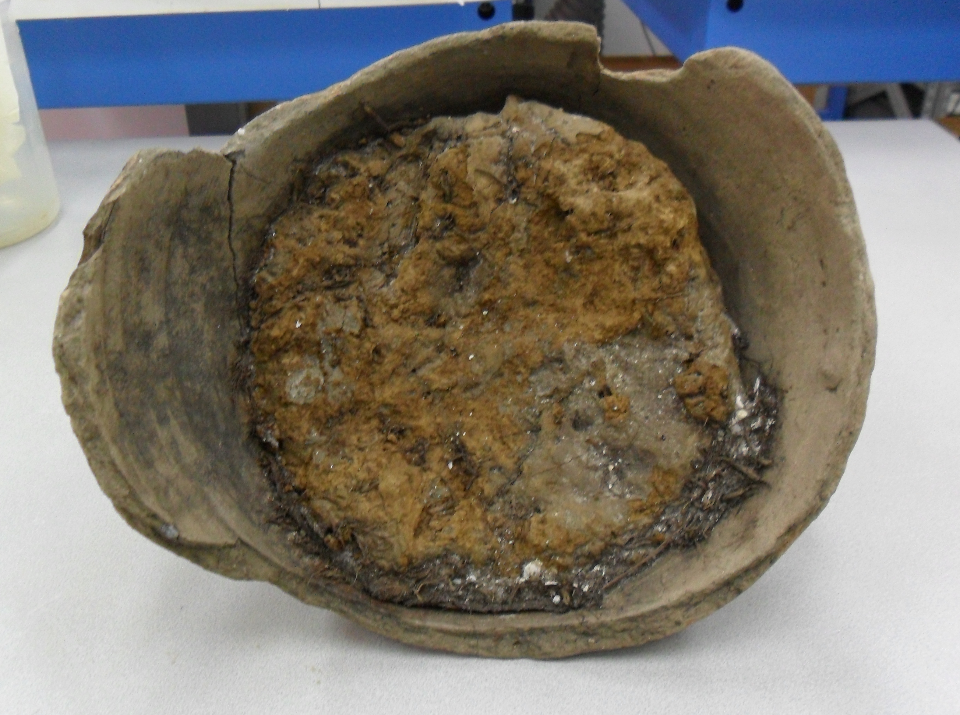 Si fa presto a dire garum: al Mut una conferenza archeozoologica