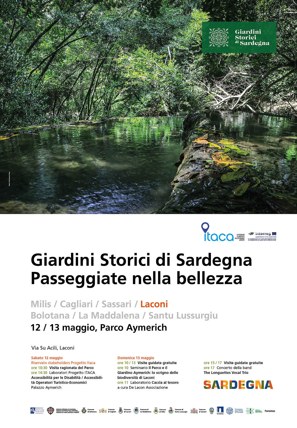 “Passeggiate nella bellezza” a Laconi: al parco Aymerich il gigantesco cedro dell’Himalaya