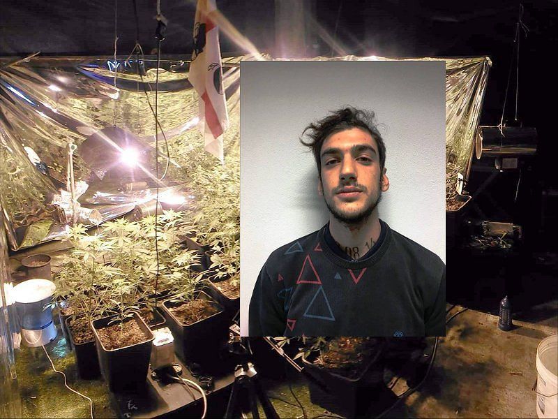Serra di marijuana in casa, pusher di San Giovanni Suergiu incastrato grazie all’App della polizia