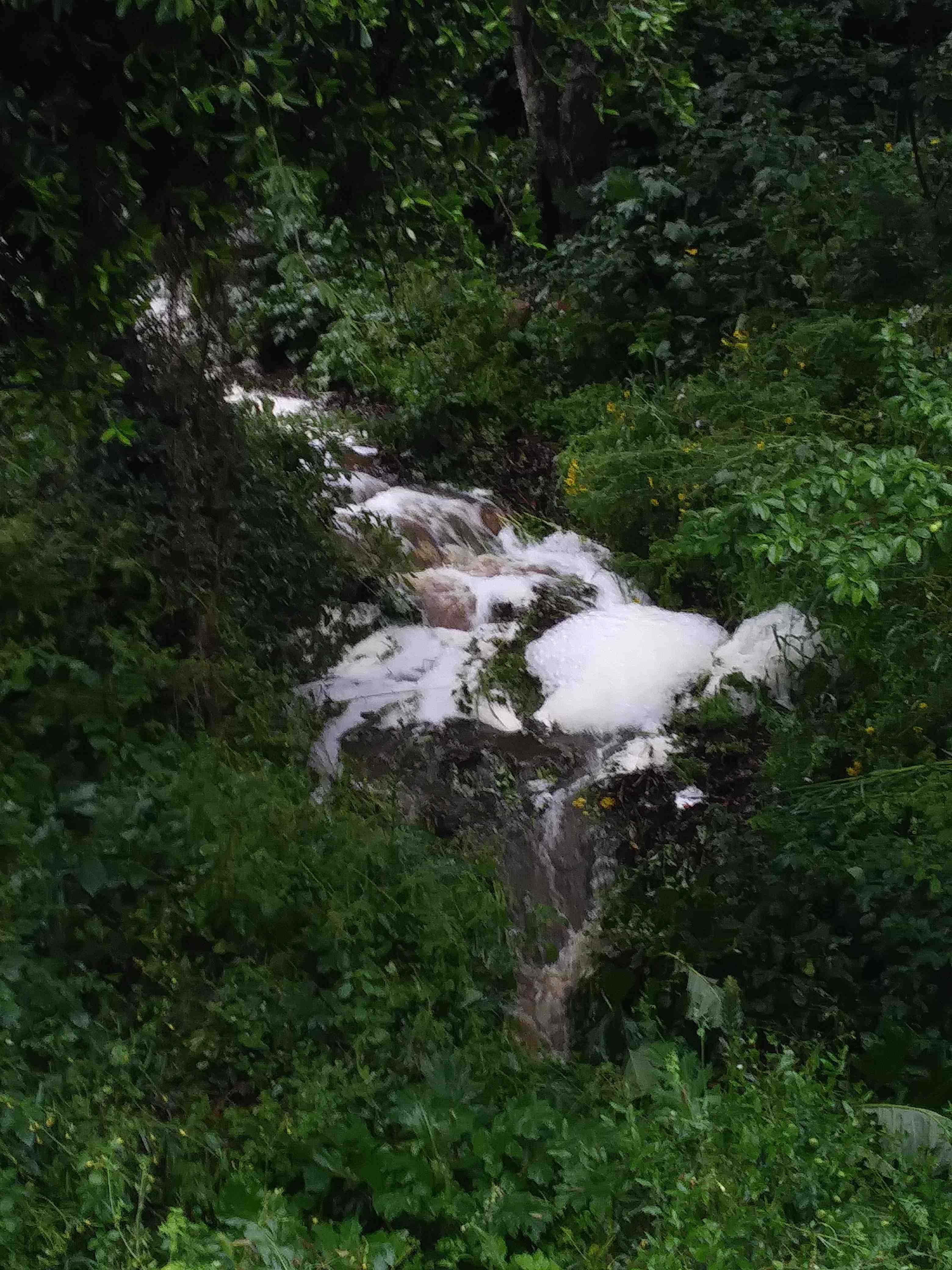 Carloforte, i dubbi degli ecologisti: “Perchè i fiumi sono ricoperti di schiuma?”