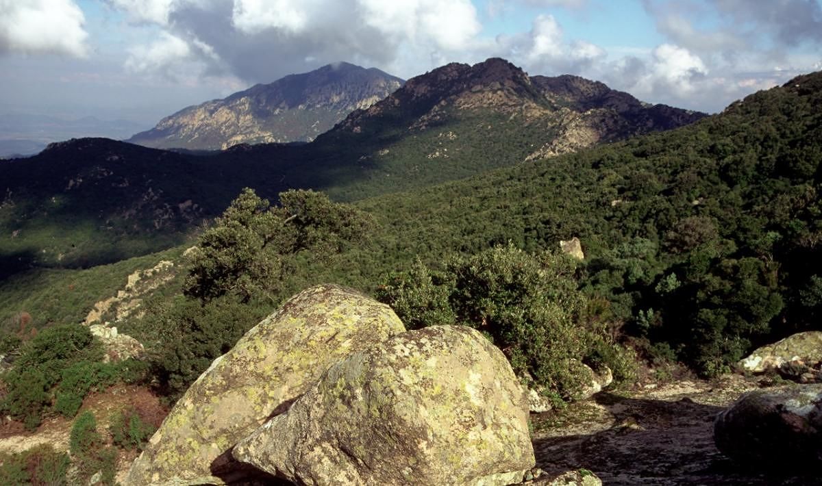 Domenica torna la Giornata delle Oasi: aprono i cancelli di Monte Arcosu