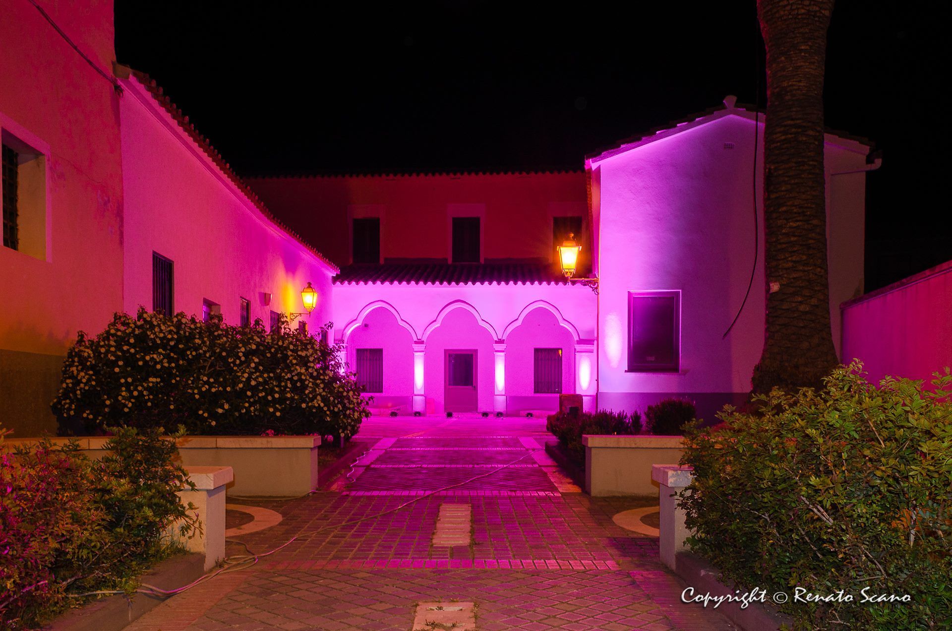 Pula si illumina di viola, simbolo nel giorno delle malattie infiammatorie dell’intestino