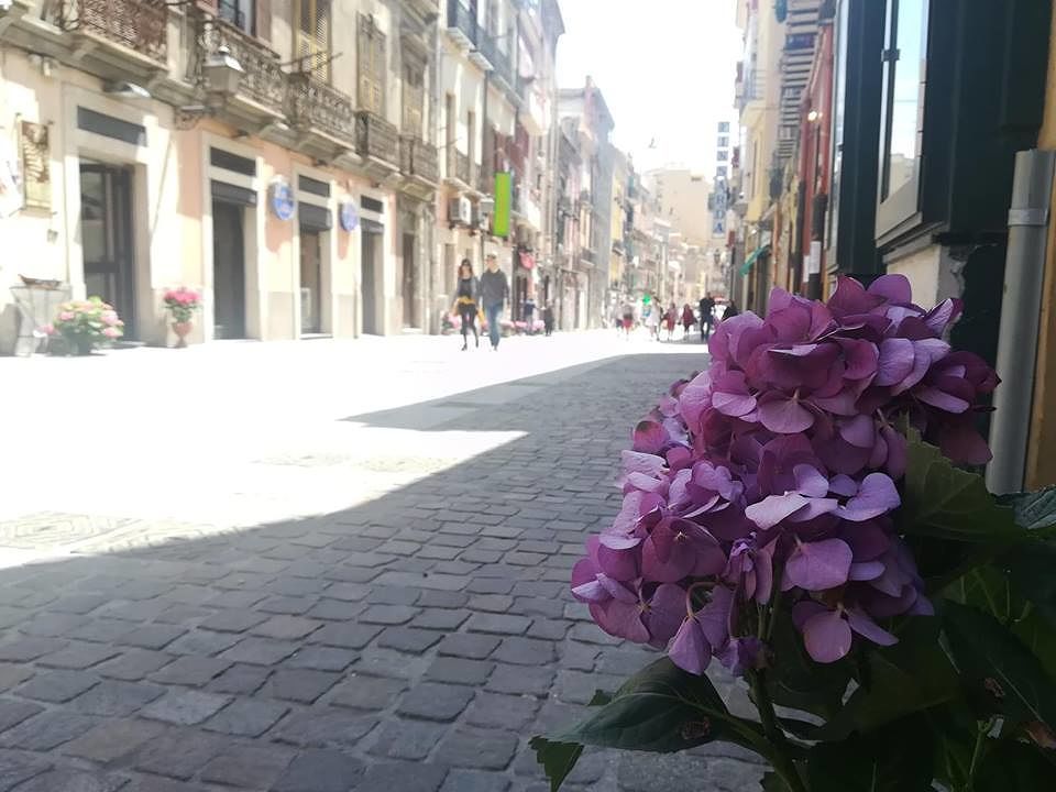 Cagliari, nel Corso i commercianti fanno colletta per i fiori: “Li annaffiamo nel deserto”