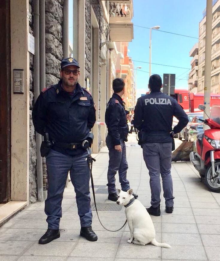 Cagliari, scoppia un incendio in casa: in salvo un’anziana e i suoi due cani