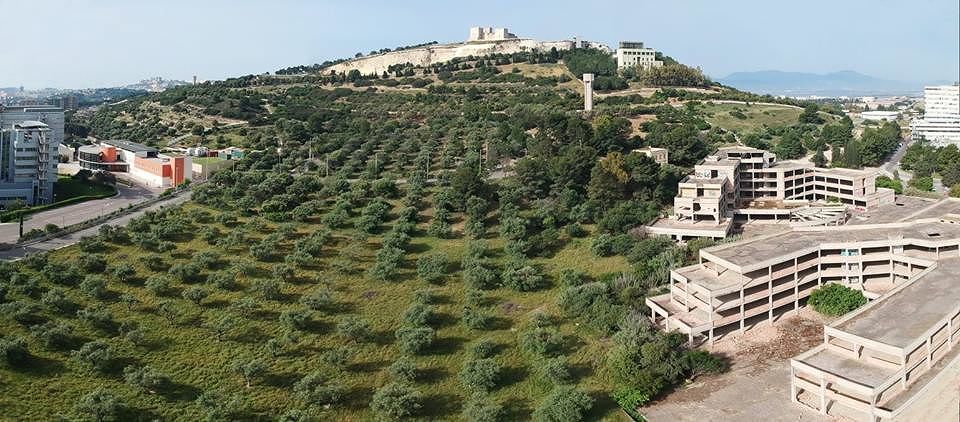 Cagliari, dopo l’ecomostro la villa dei Floris: cemento nell’antico oliveto di San Michele