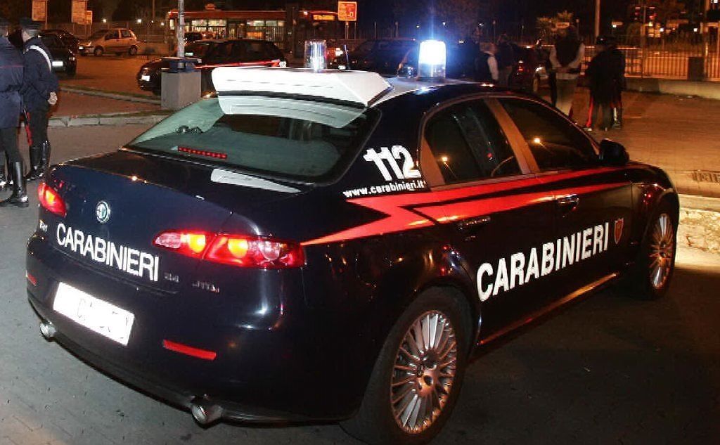 Sardegna, cane agonizzante sul ciglio della strada: era stato investito, salvato dai carabinieri