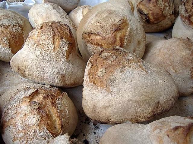 Civraxiu, Coccoi, Moddizzosu: pane sardo sotto attacco degli abusivi