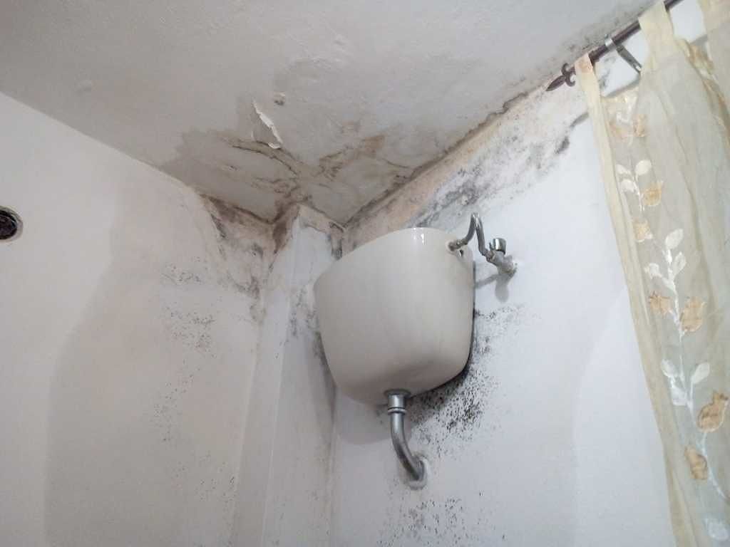 Sestu, degrado nelle case popolari: “Da due anni con l’urina che cola dal soffitto”