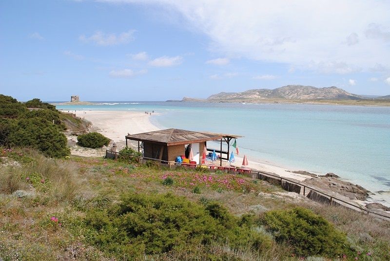La Pelosa, in spiaggia asciugamani solo su stuoie e niente commercio itinerante