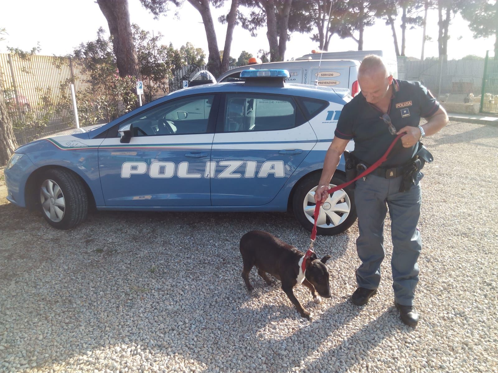 Cagliari, cane chiuso in auto sotto il sole: la polizia denuncia una donna
