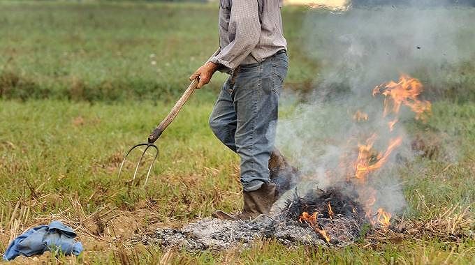 Sardegna, abbruciamenti durante il periodo estivo: ecco tutte le regole