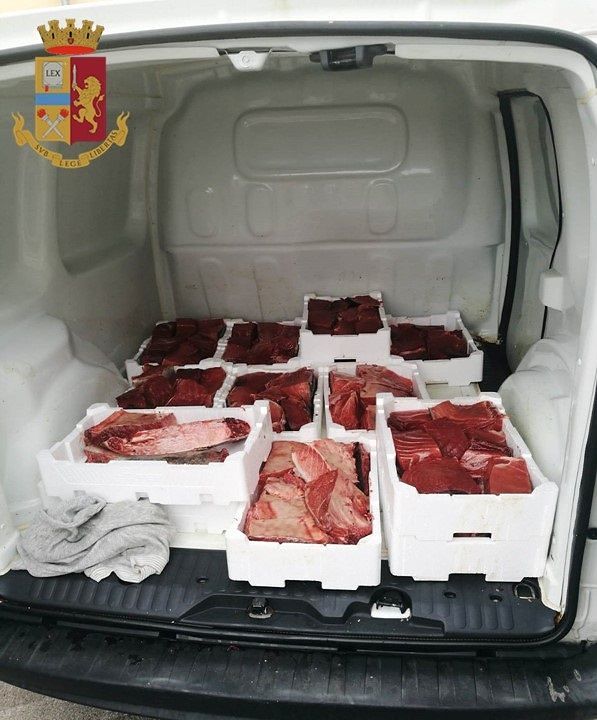 Nasconde 125 Kg di tonno rosso nel furgone: 55enne nei guai a Carbonia