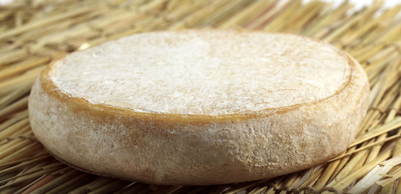 Morte di un bimbo per contaminazione da Escherichia coli: formaggio ritirato dalla vendita