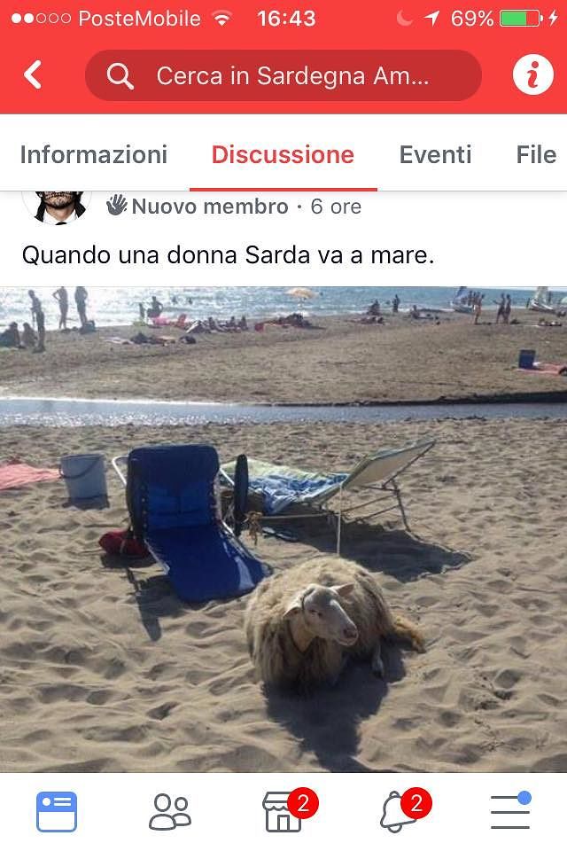 Assurdo gruppo Fb per insultare la Sardegna: “Donne sarde, al mare come pecore”