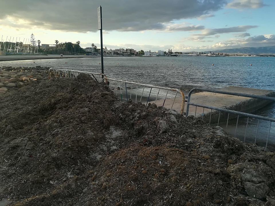 “Al Poetto montagne di alghe ammassate per la gioia di zanzare e mosche. Zedda, quando intervieni?”