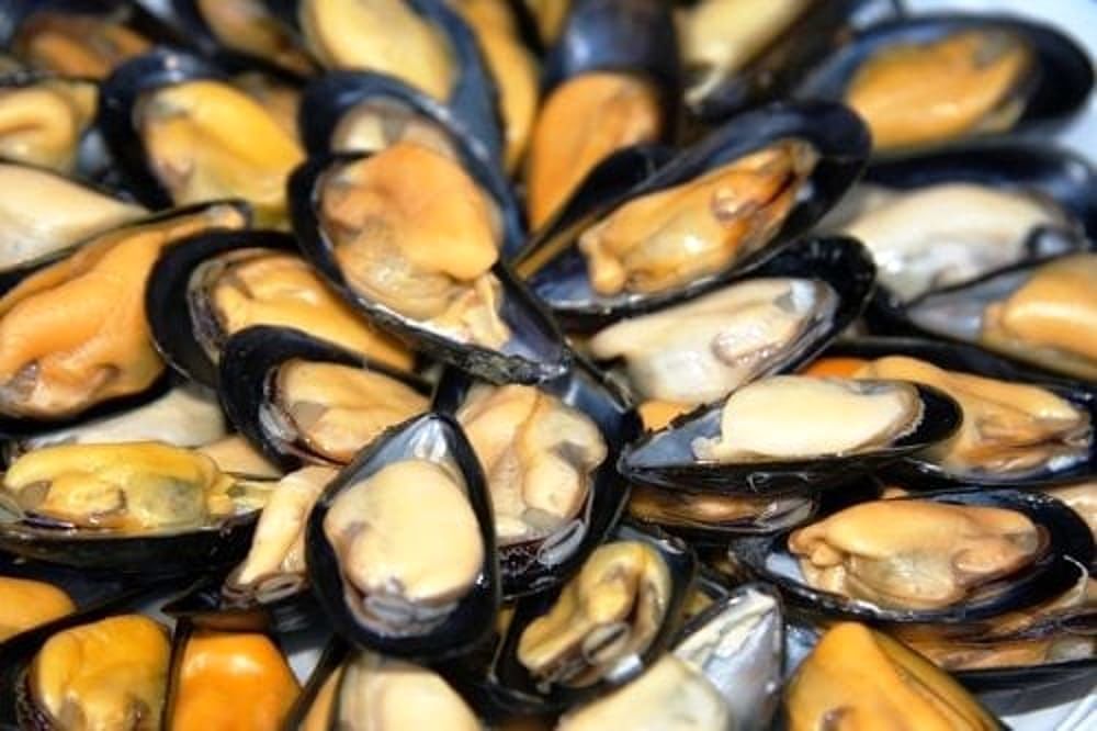 Cagliari, stop allarme a Santa Gilla: riparte la pesca di cozze e mitili