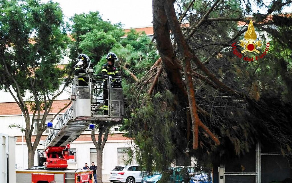 Cagliari, paura in via Amat: i vigili del fuoco rimuovono un ramo pericolante