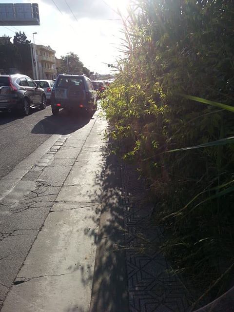 “Viale Marconi, così abbiamo rischiato di essere investiti nell’aiuola killer”