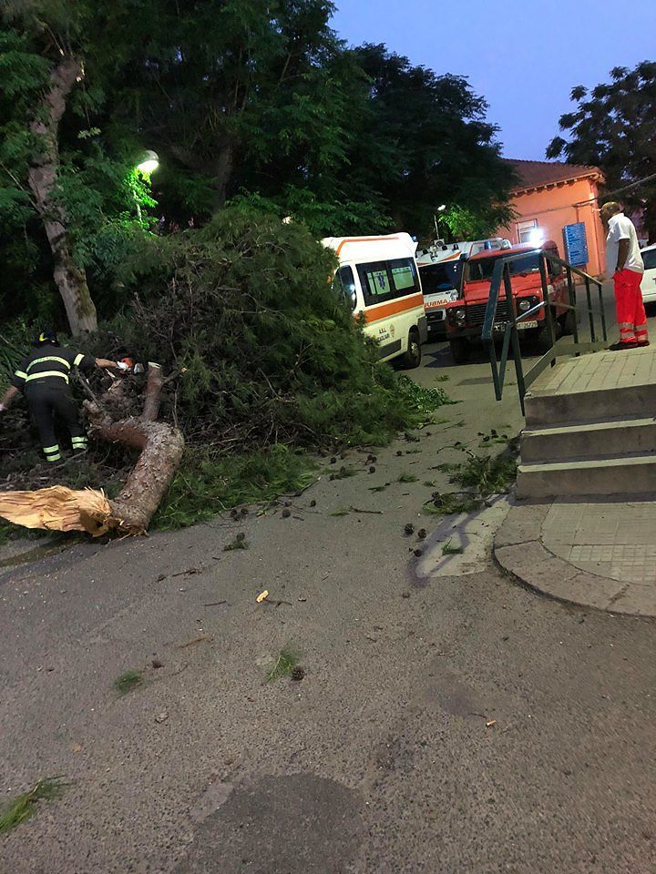 Cagliari, albero crolla su un’ambulanza: “Tragedia sfiorata al Ss. Trinità”