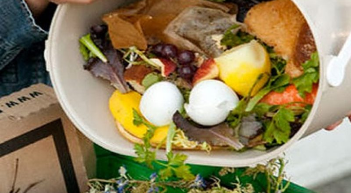 Cibo sprecato, ecco i dieci consigli per risparmiarlo e non farlo finire nella spazzatura