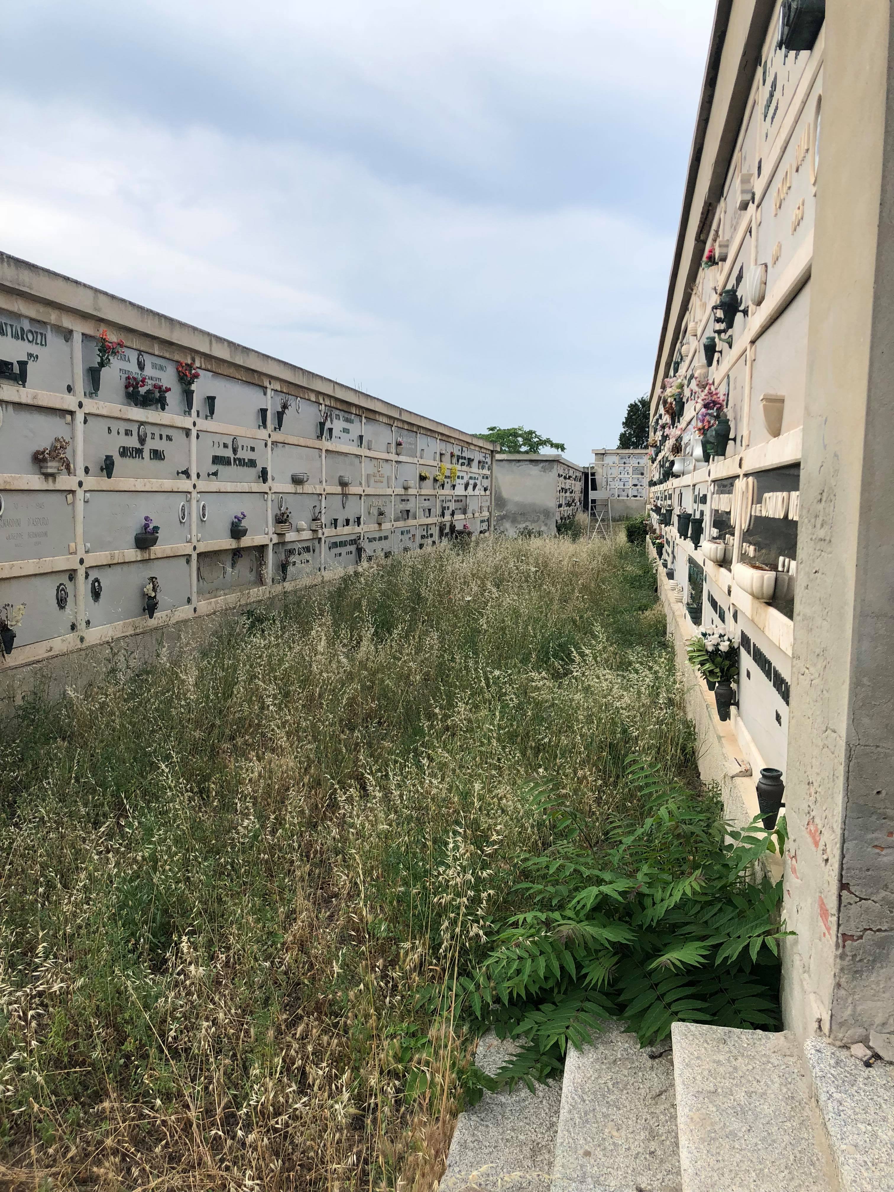 Cagliari, una giungla tra le tombe del cimitero di Bonaria