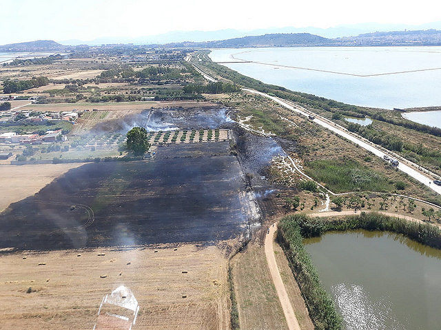 Pomeriggio di fuoco a Molentargius: i vigili e un elicottero domano il vasto rogo