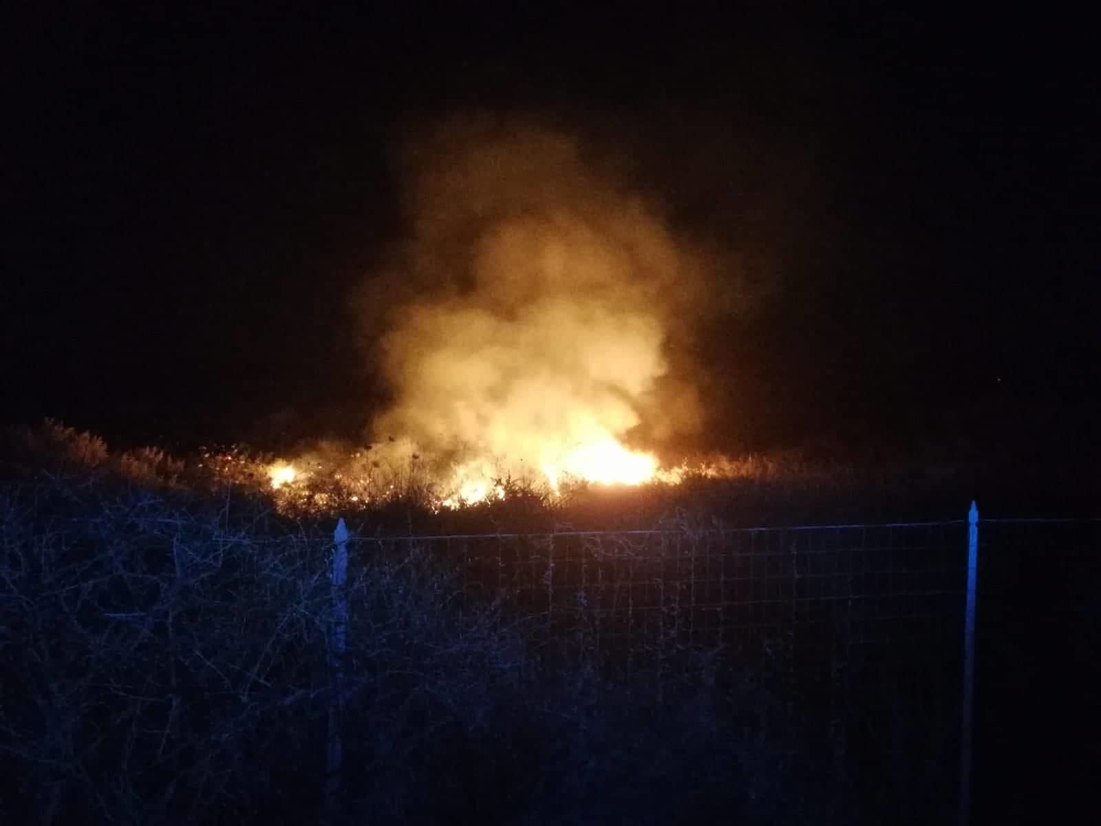 Nella notte l’incendio a Molentargius si riaccende: il forte vento fa risorgere le fiamme