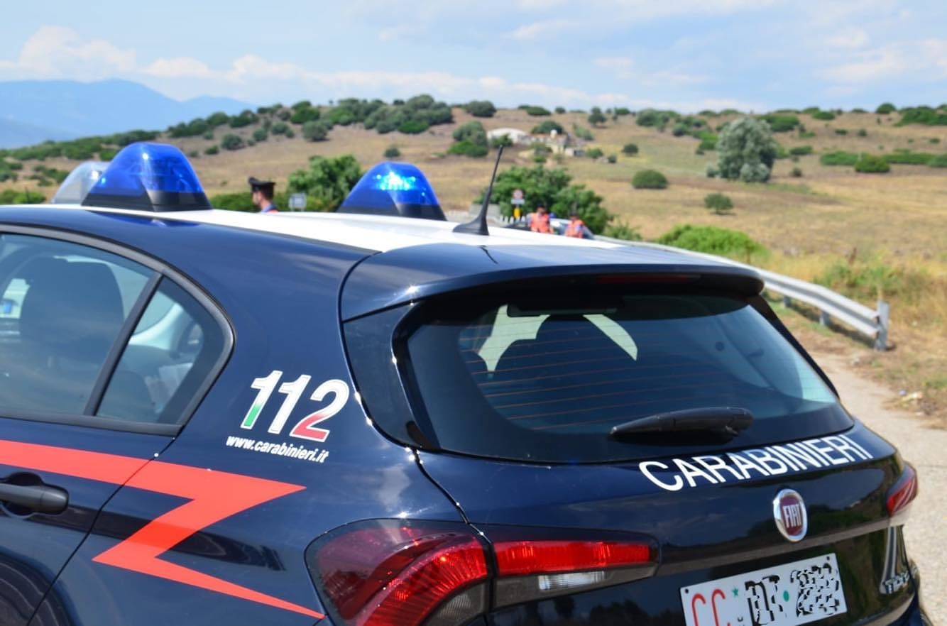 Gavoi, furto in un’azienda zootecnica: i ladri portano via una mungitrice