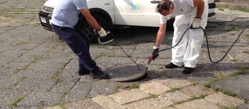 Cagliari, dopo i topi è guerra alle blatte: interventi a Genneruxi e San Benedetto