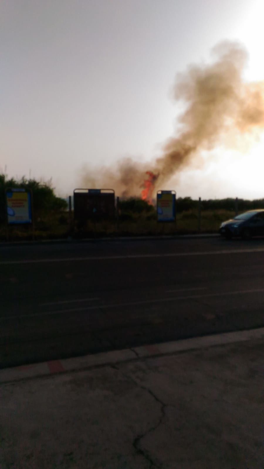 Quartu, ancora fiamme a Molentargius: è di nuovo allarme