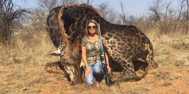Giraffa uccisa per una foto ricordo, orrore e indignazione su Facebook