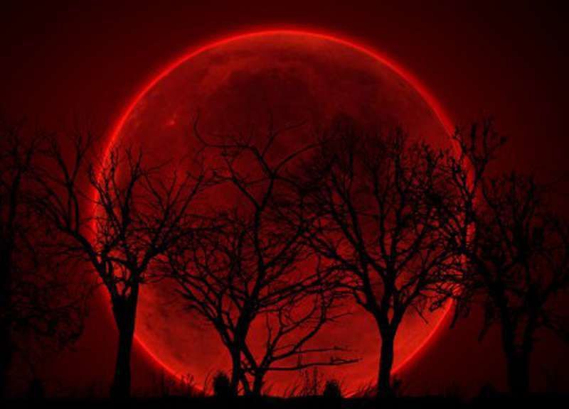 Tutti col naso all’insù per la “luna di sangue”: l’eclissi più lunga del secolo