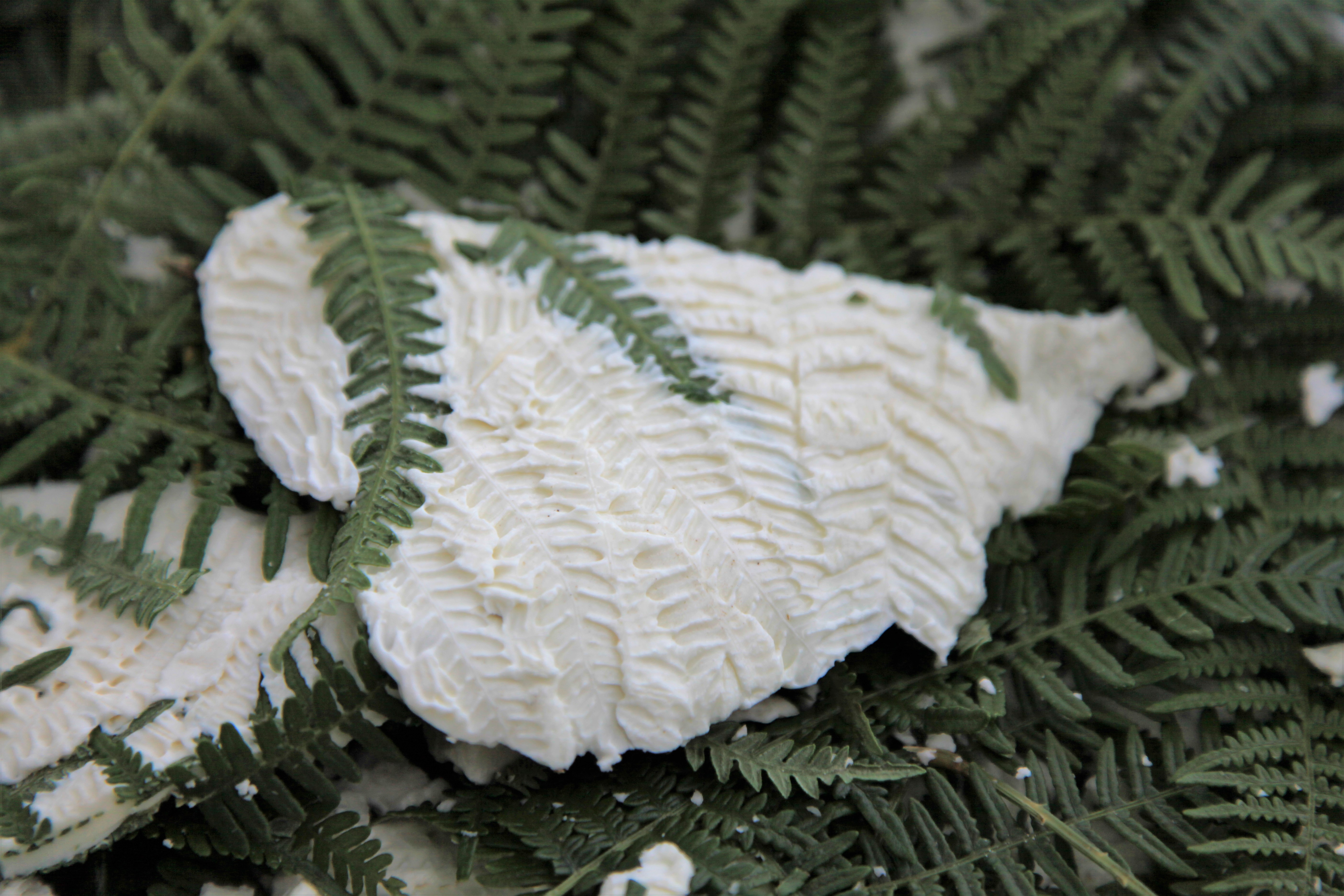 Seulo celebra per la nona edizione “Su casu in filixi”: ecco quando