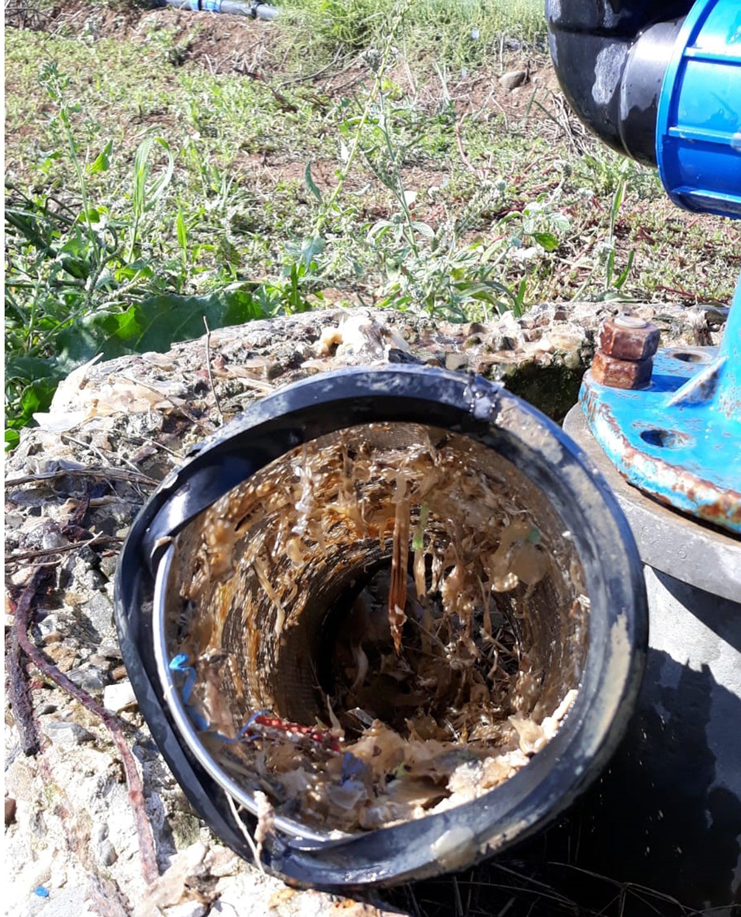 Pesci intasano le tubature, Pili: “Disastro nelle campagne da Elmas a Monastir”