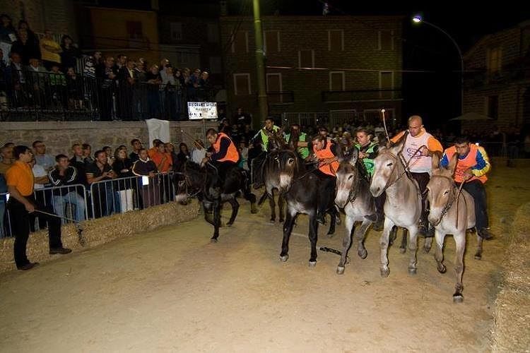 Torna il palio degli asinelli a Ollolai il 13 e 14 luglio