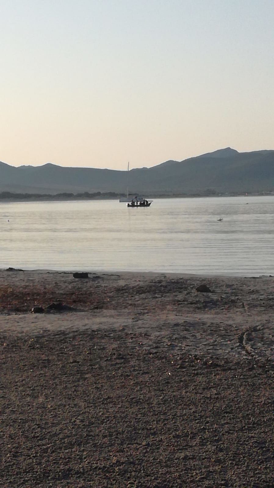 Proseguono gli sbarchi di migranti nel sud Sardegna, Deidda: “Serve blocco navale”