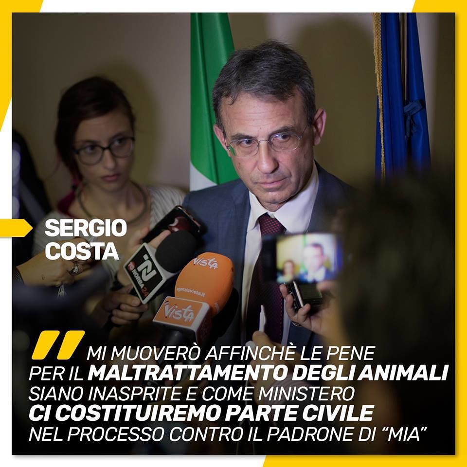 Mia, la cagnetta con la pietra al collo diventa un simbolo. Il ministro del M5s: pene più dure a chi odia gli animali