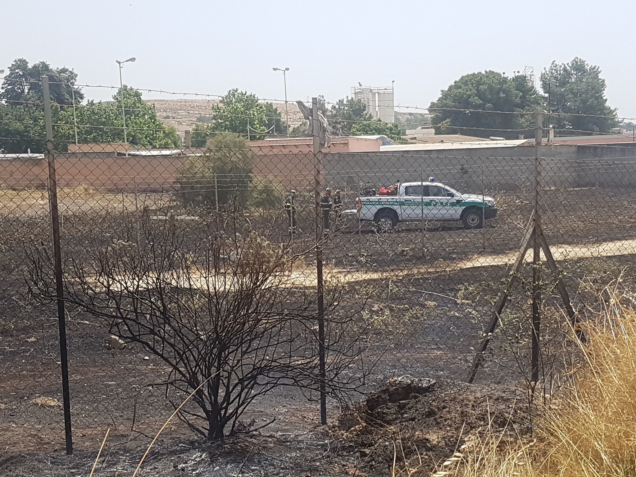 Piromani senza cuore, a Quartu le fiamme sfiorano il regno dei quattrozampe