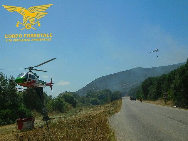Due incendi nel Sulcis: in fiamme 2 ettari di uliveto e macchia mediterranea