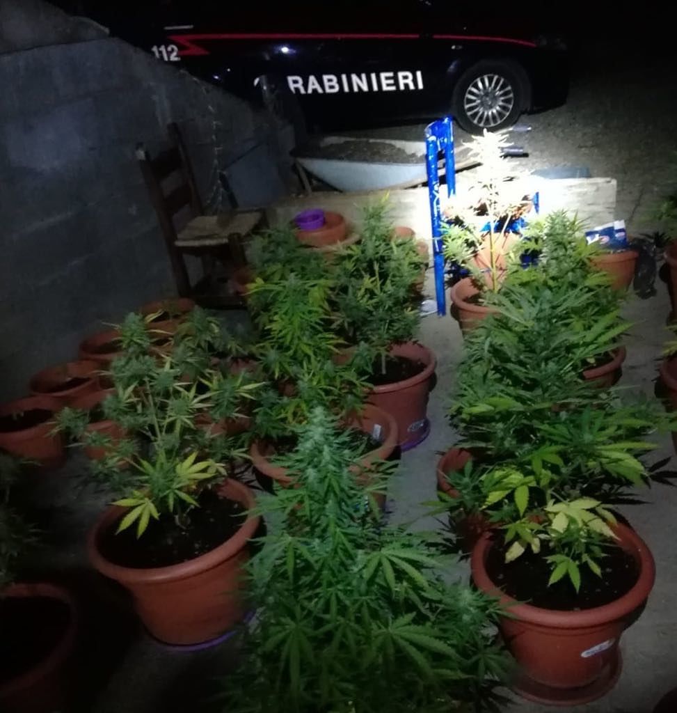 Arbus, coltivazione e spaccio di marijuana: arrestati padre e figlio
